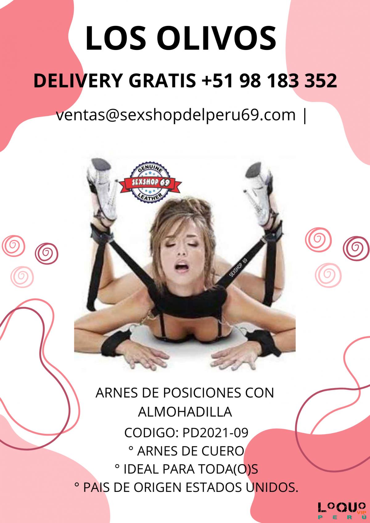 Sex Shop Lima: POSICIONES CON ALMOHADILLA ARNES